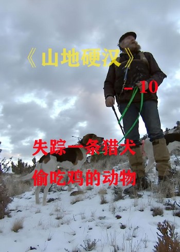 山地硬汉合集封面图