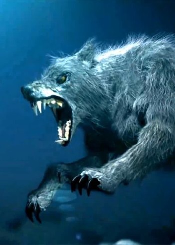 铁头王户外封面图