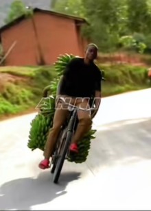 奥德彪的彪悍人生