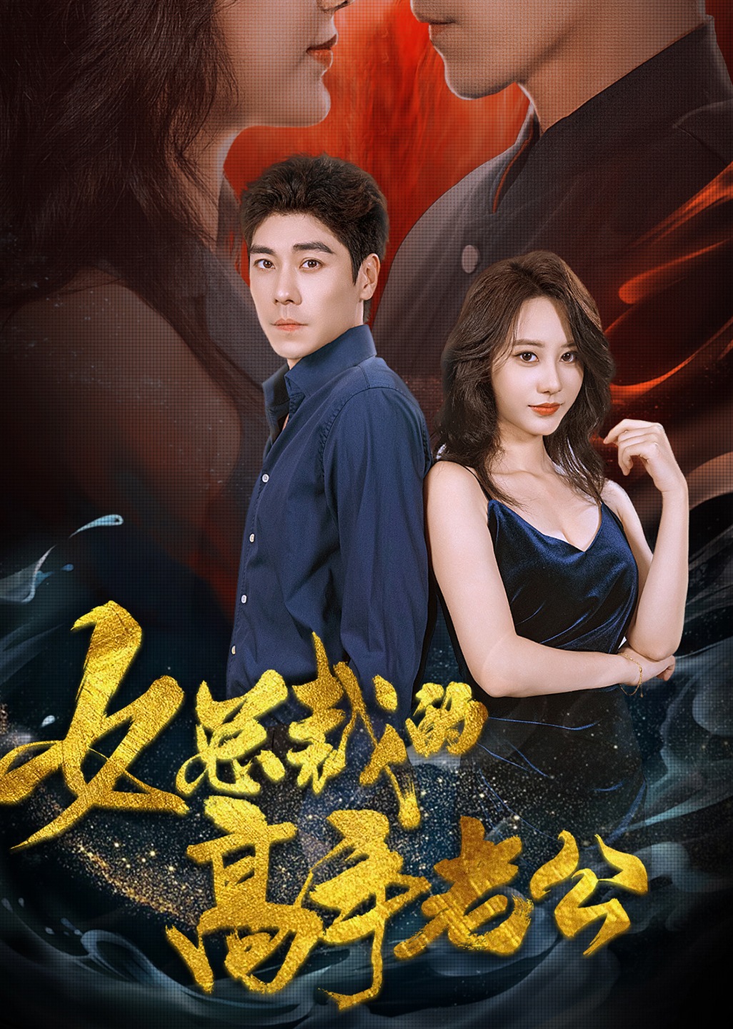 女总裁的高手老公 海报