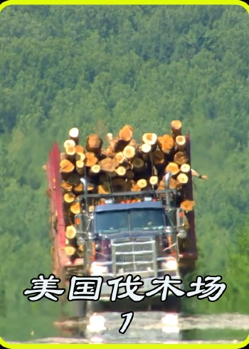 美国伐木公司封面图