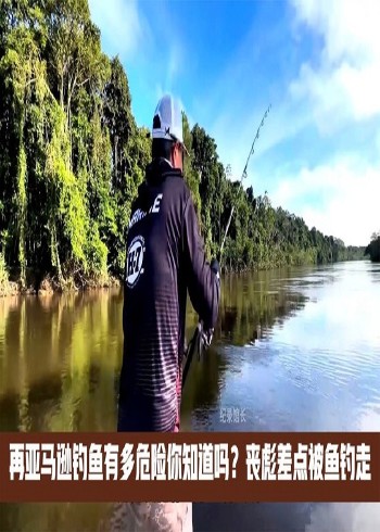 专注野外节目解说封面图