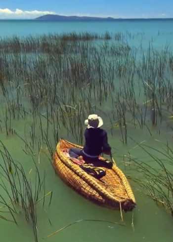 世界奇闻封面图