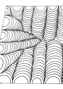 柳树林的线描画