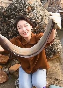 皮皮的赶海视频