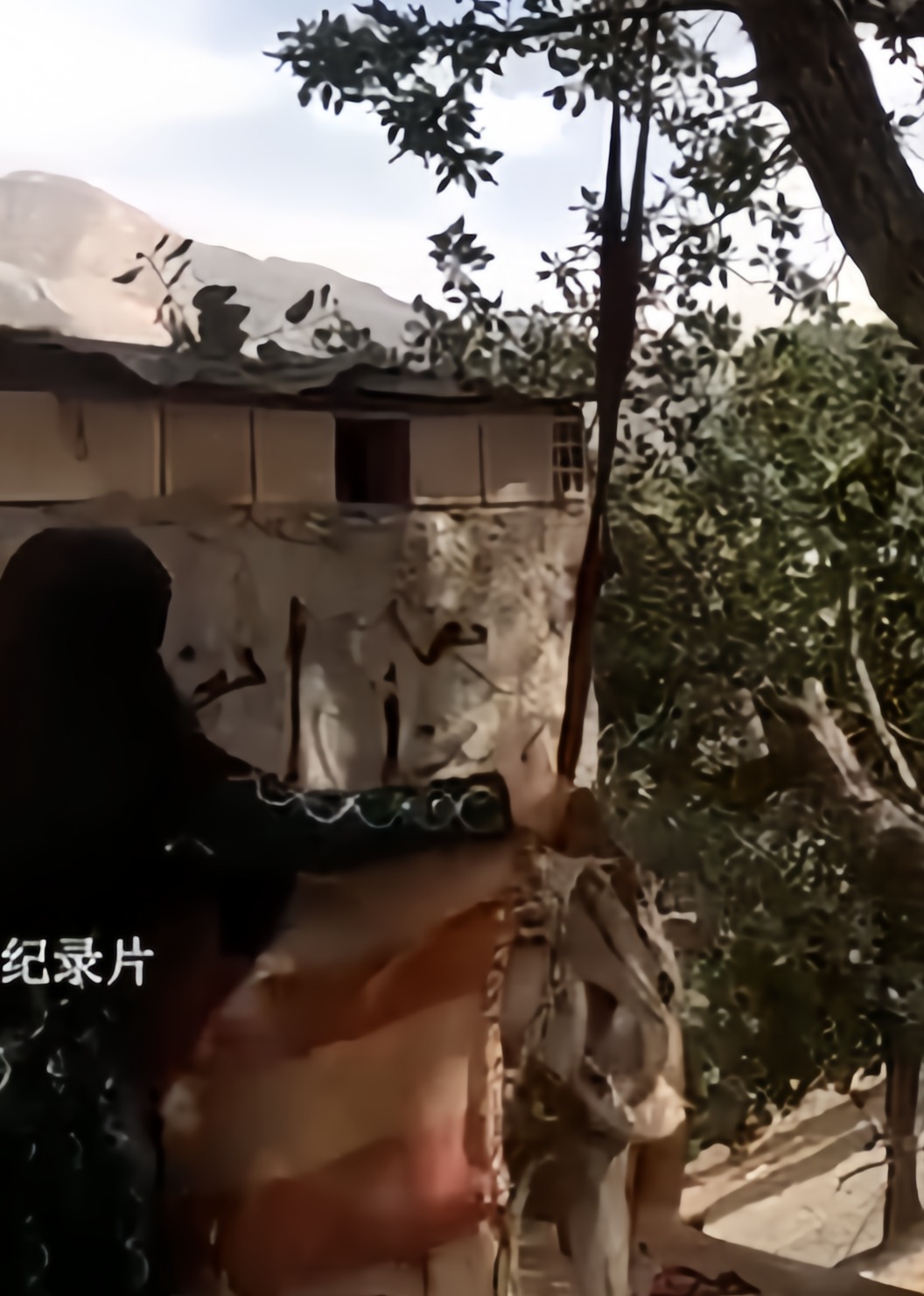 国外农村纪录片