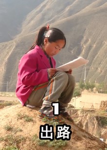 人生浮华记录真实