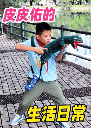皮皮佑的生活日常