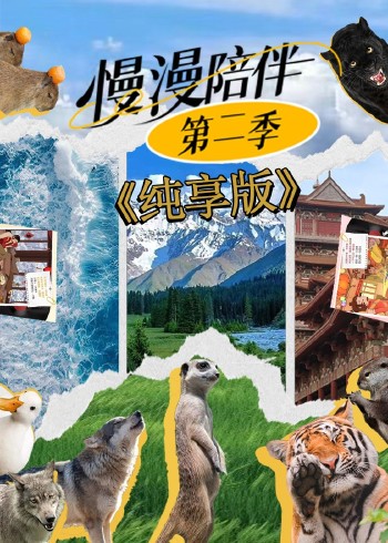 纯享版漫漫陪伴 第二季封面图