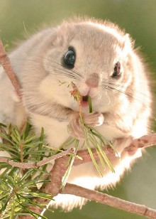 动物界里的那些事儿