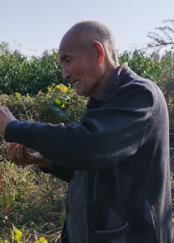 导演回村非遗系列纪录片封面图