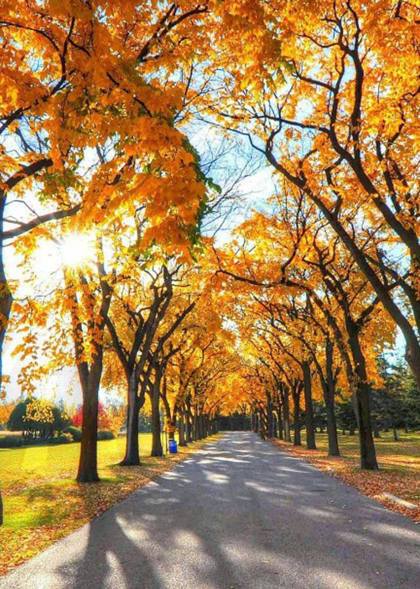 纪实纪录片合集