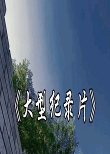 石师傅大型纪录片