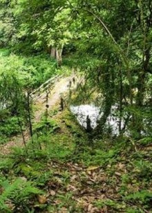 野外生存解说