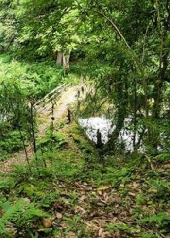 野外生存解说封面图