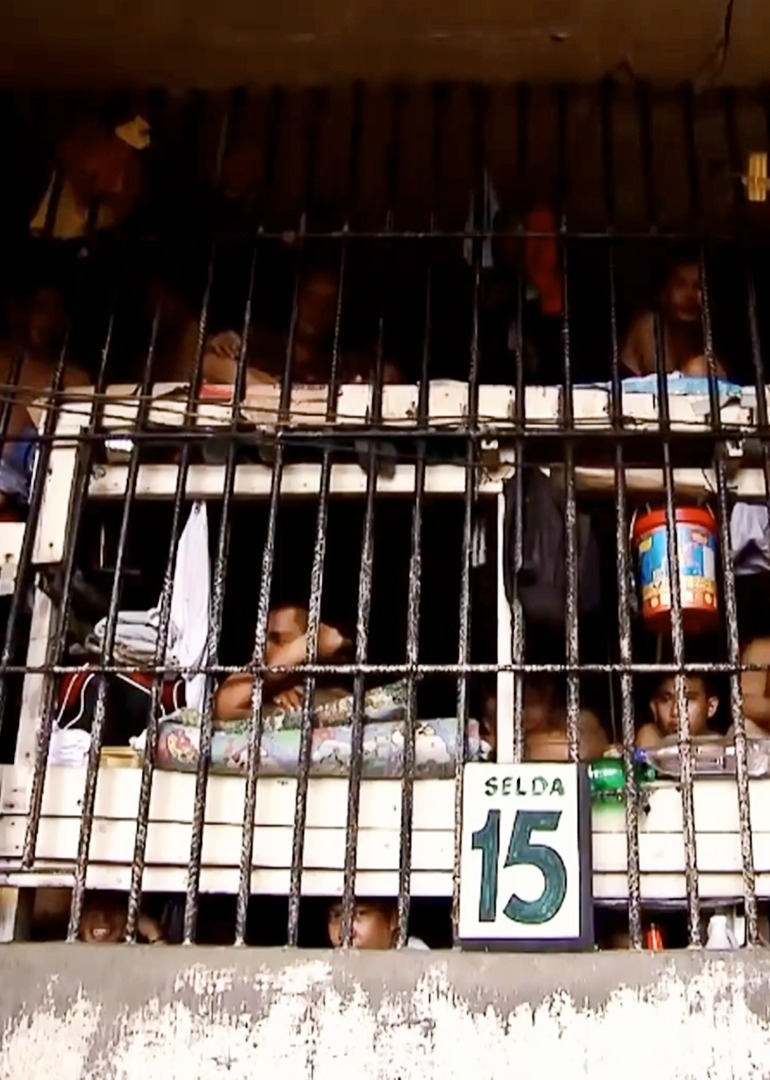 地球上不为人知的趣事封面图