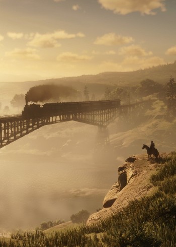 荒野大乱斗封面图