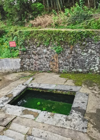 新余泉井古桥古树等历史文化遗存封面图