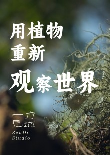 带你用植物重新观察世界海报