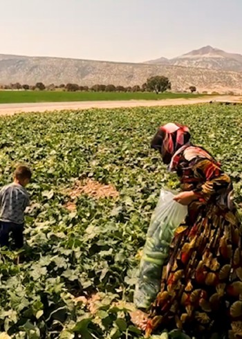 伊朗游牧生活矛盾封面图