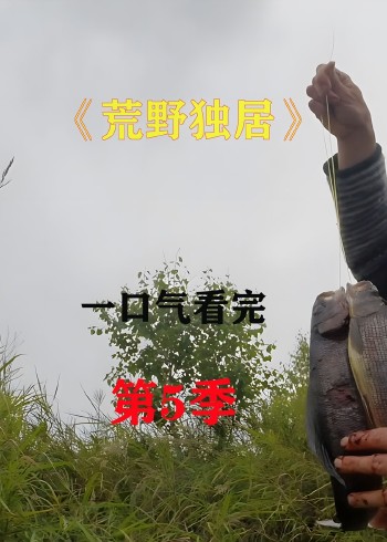 荒野独居 第五季封面图