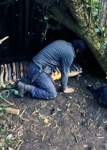 象瘾荒野求生记录片封面图