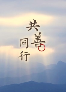 大爱共善你我同行海报