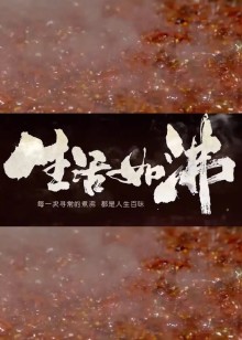 生活不易纪录片