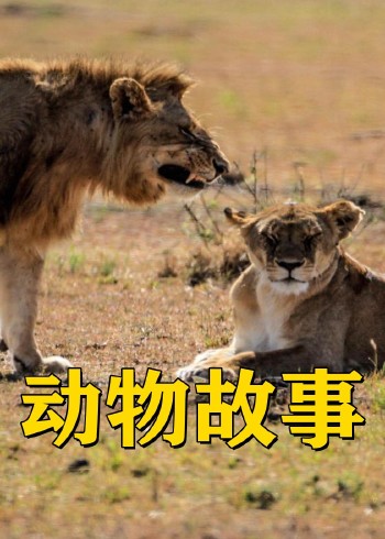 动物故事封面图