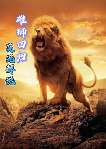 纪录片雄狮回归封面图