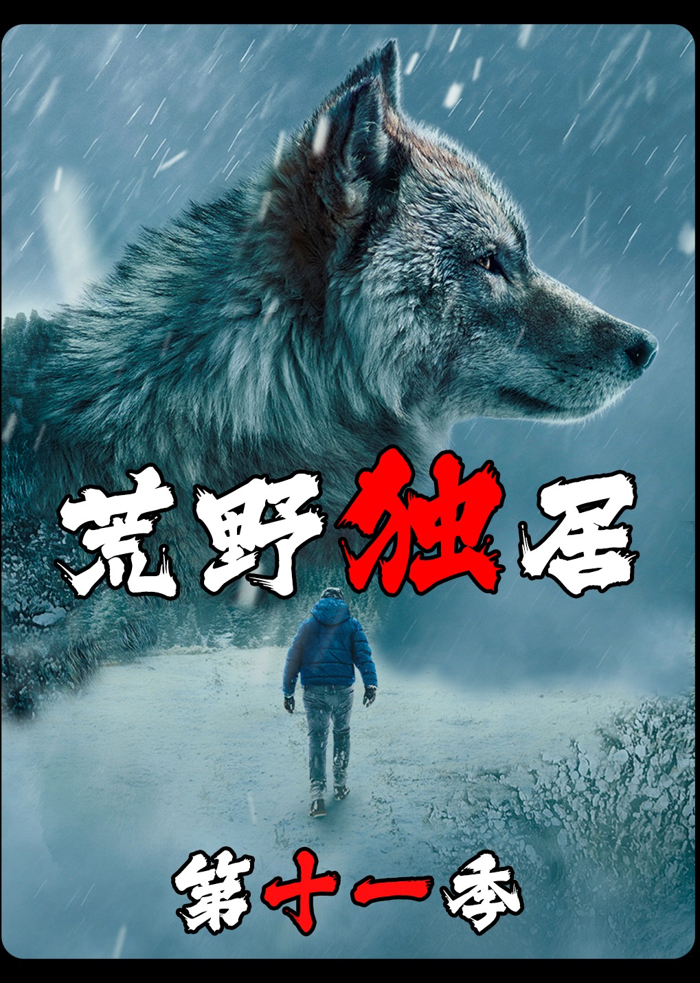 《荒野独居》第十一季}