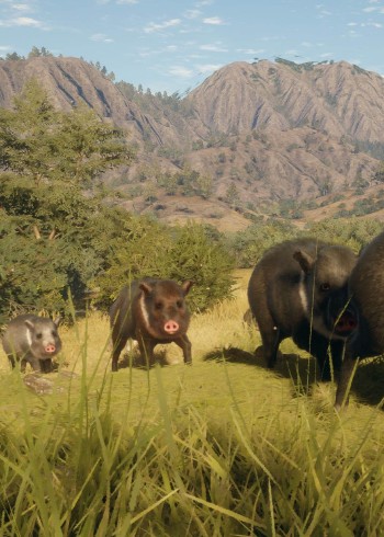 荒野狩猎封面图