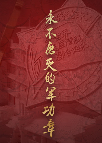 永不磨灭的军功章封面图