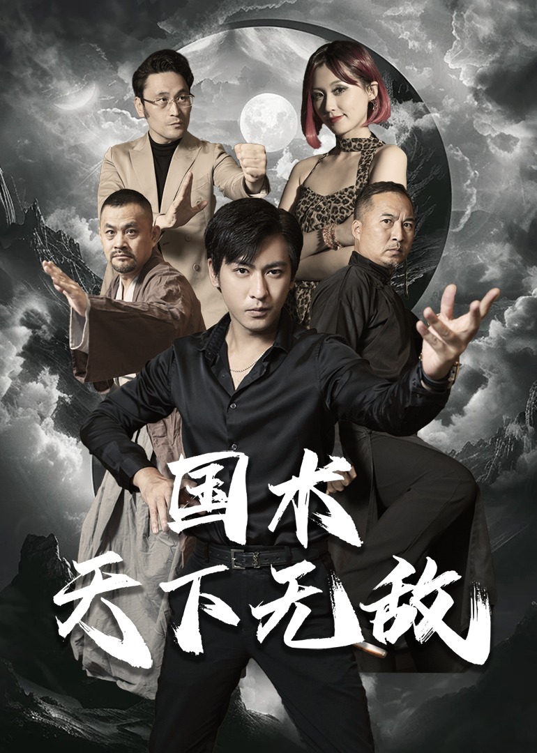 国术天下无敌 海报
