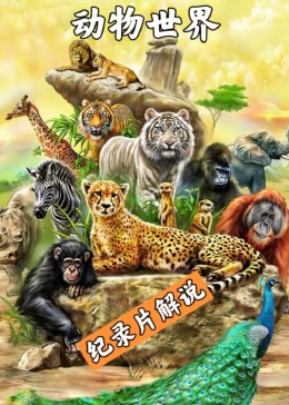 纪录片解说《动物世界》