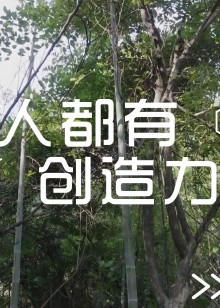 人人都有创造力潘永增