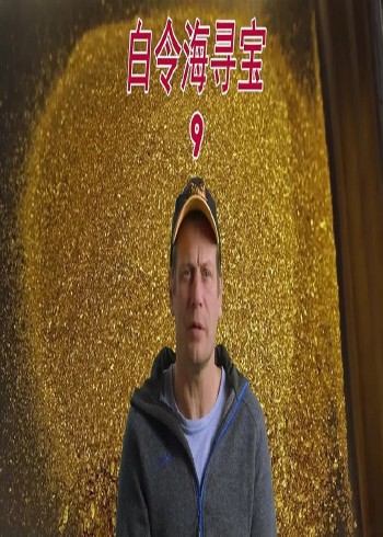 专注寻宝淘金封面图