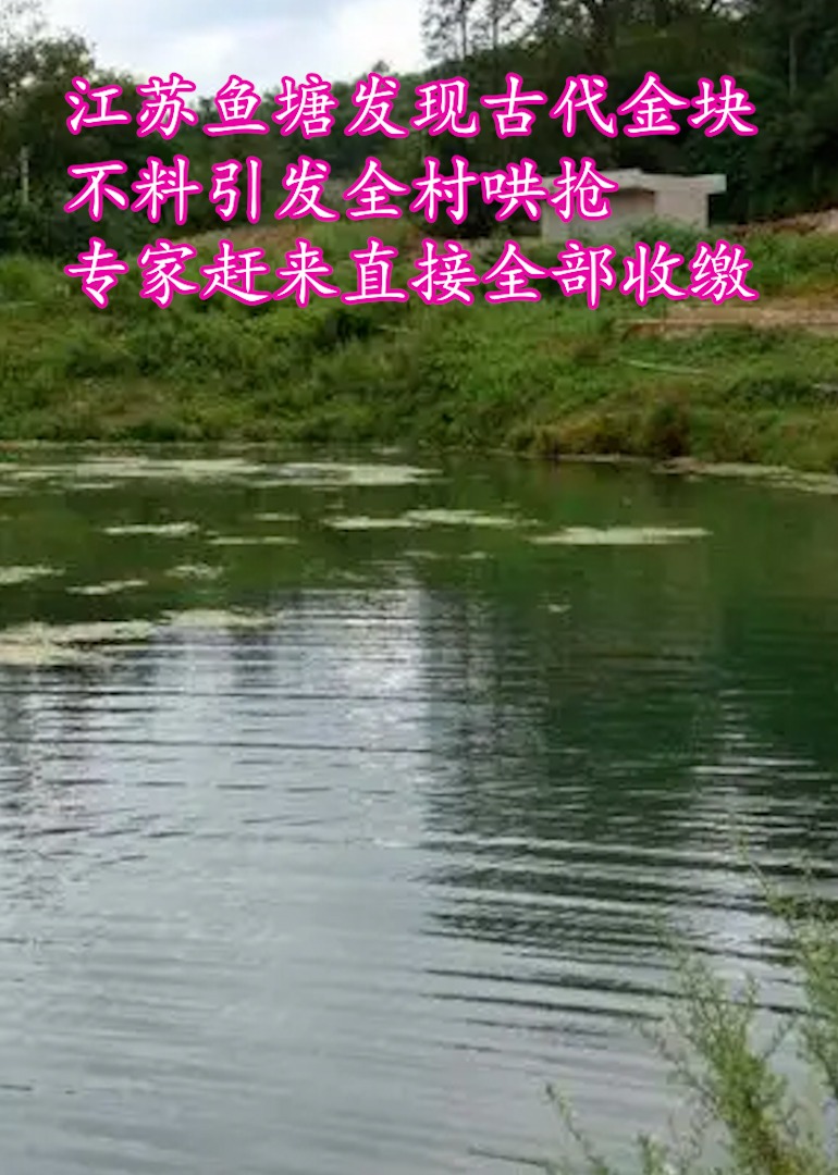 历史探秘-鱼塘藏宝之谜}