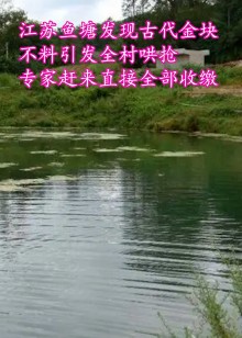 历史探秘鱼塘藏宝之谜