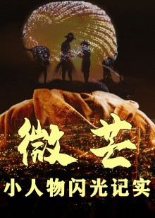微芒小人物闪光记实