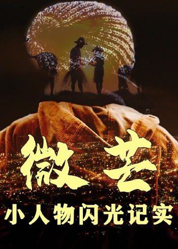 微芒:小人物闪光记实封面图