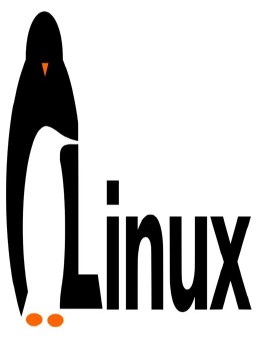 linux基础入门知识
