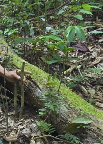 带你看不一样的荒野封面图