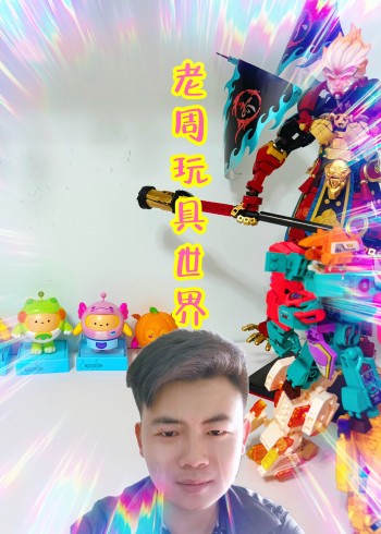 老周的玩具世界