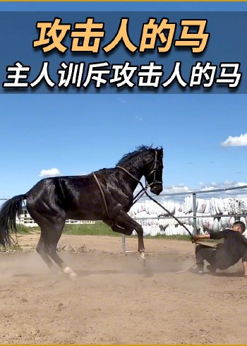 动物解说，解读不一样的动物趣闻