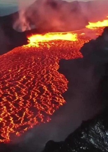 你知道吗火山附近也是有生命的并且生活的很好封面图