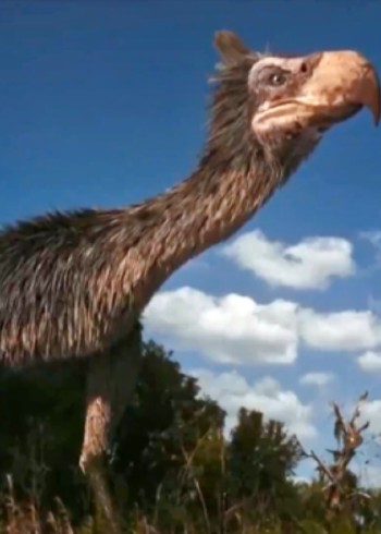 走进捕猎世界封面图