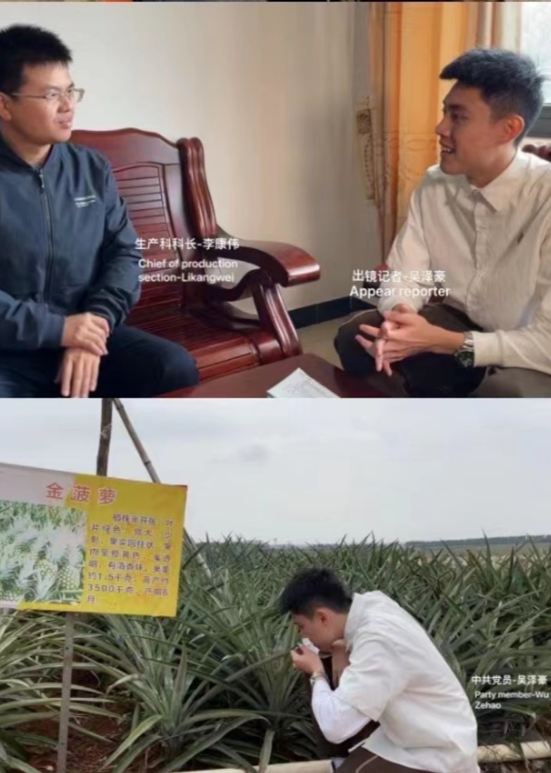 走近湛江专题纪录片-《徐闻菠萝的前世今生》吴泽豪（2022毕业设计）}