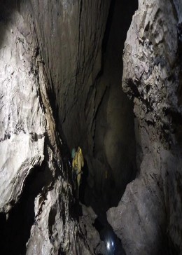 小蚱蜢的洞穴探险