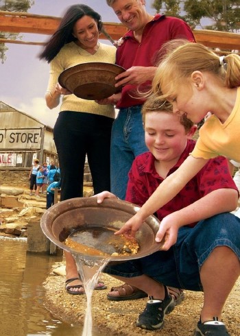 黄金猎人封面图